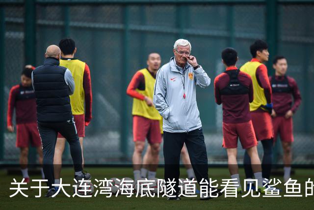 关于大连湾海底隧道能看见鲨鱼的谣言已被澄清